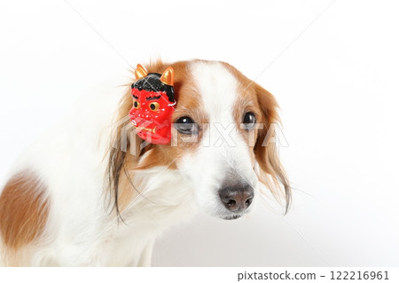 A scene of a dog wearing a Setsubun mask and bean-throwing 122216961