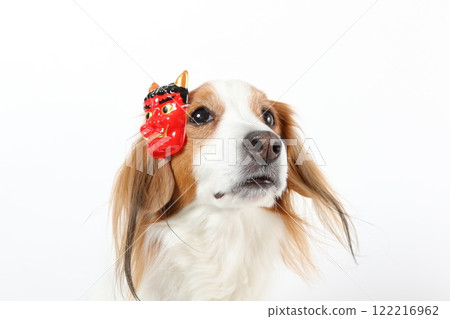A scene of a dog wearing a Setsubun mask and bean-throwing A scene of a dog wearing a Setsubun mask and bean-throwing 122216962
