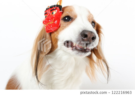A dog wearing a Setsubun mask makes a demon face A dog wearing a Setsubun mask makes a demon face 122216963