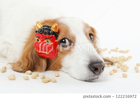A scene of a dog wearing a Setsubun mask and bean-throwing 122216972