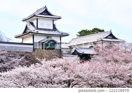 金澤城堡在春天 122216979