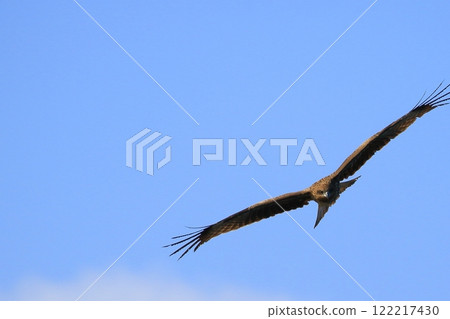 A kite flying in the blue sky A kite flying in the blue sky 122217430