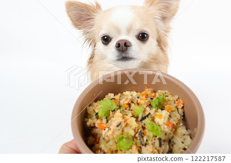 Chihuahua staring at homemade food in a brown bowl 122217587