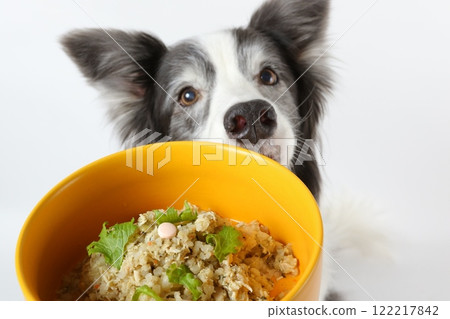 Hiding medicine in homemade food Hiding medicine in homemade food 122217842