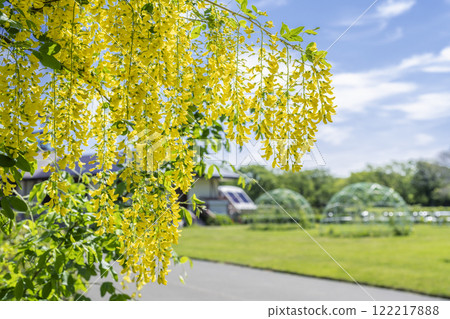 札幌市薩里尤里國王加原公園 札幌市薩里尤里國王加原公園 122217888