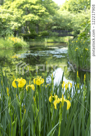 紀菏部埃德溫鄧恩紀念公園 札幌市 紀菏部埃德溫鄧恩紀念公園 札幌市 122217908