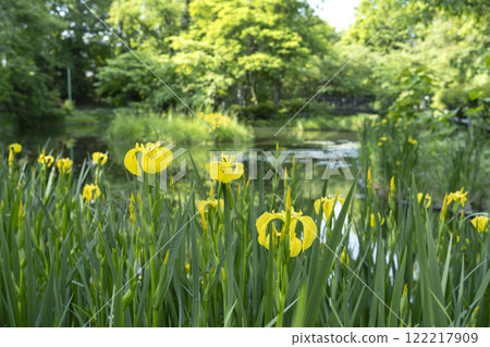 紀菏部埃德溫鄧恩紀念公園 札幌市 紀菏部埃德溫鄧恩紀念公園 札幌市 122217909