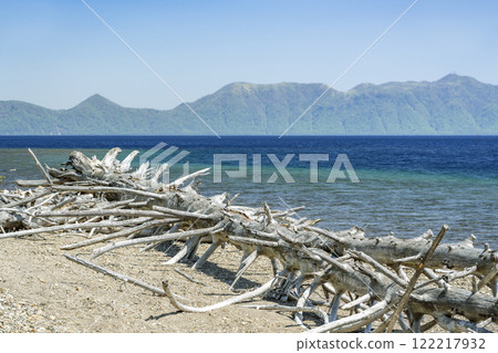 鮮綠的支笏湖，像肋骨一樣的浮木，千歲市 122217932