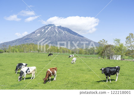 Farm and Mt. Yotei in early summer, Niseko Town 122218001