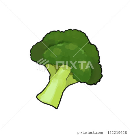 西蘭花的插圖 122219628
