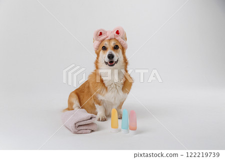 Cute dog with a towel and headband, ready for a spa day with beauty products for pets 122219739