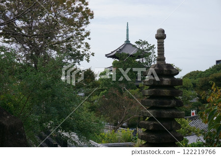 Tour of Nagoya's Seven Lucky Gods: Yagoto Koshoji Temple's five-story pagoda and stone tower 122219766