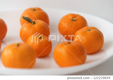 大腸和可愛小柑橘（3-4cm，3:2） 122219834