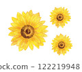 Sunflower flower cutout painted in watercolor 122219948