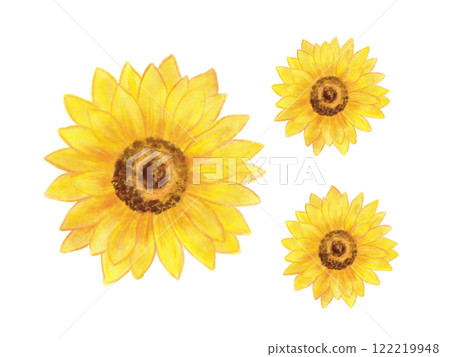 Sunflower flower cutout painted in watercolor 122219948