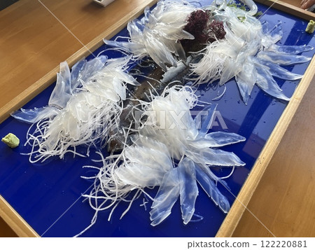 Yobuko squid Yobuko squid 122220881