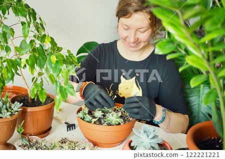 Smiling gardener cultivating succulents indoors amidst lush greenery Smiling gardener cultivating succulents indoors amidst lush greenery 122221221