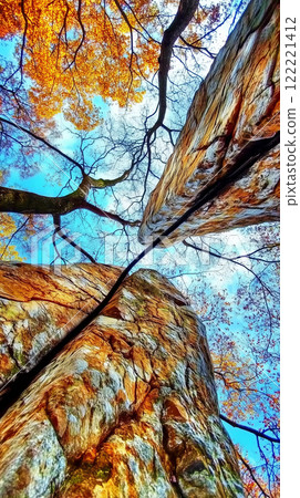 Majestic autumn trees against clear blue sky and towering rock formations 122221412