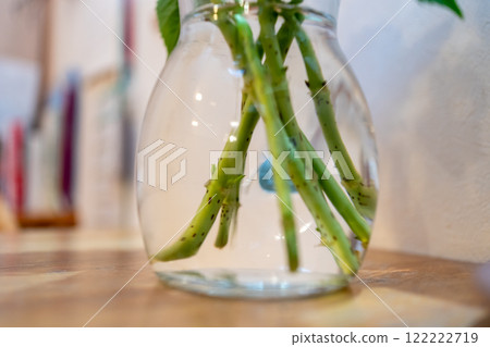 Hydrangea cut flowers 122222719
