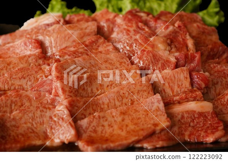 Japanese Black Beef Kalbi, Offcuts, Yakiniku, Domestic Beef 122223092