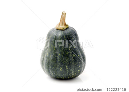pumpkin pumpkin 122223416