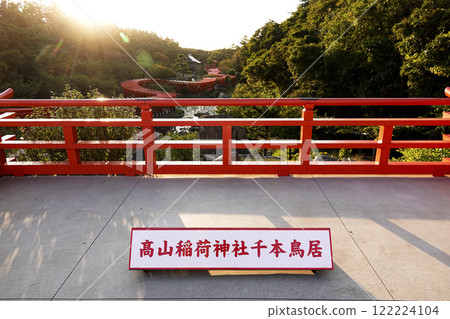 The Thousand Torii Gates from the observation deck of Takayama Inari Shrine bathed in the setting sun 122224104