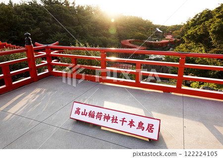 The Thousand Torii Gates from the observation deck of Takayama Inari Shrine bathed in the setting sun 122224105