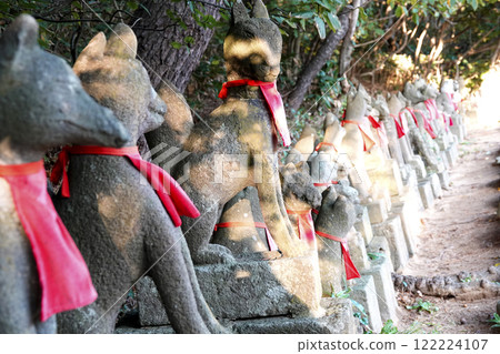 Having completed their mission, the souls of the foxes returned to God. Having completed their mission, the souls of the foxes returned to God. 122224107