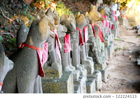 完成使命後，靈魂回歸上帝，狐狸靜靜地站著 122224113