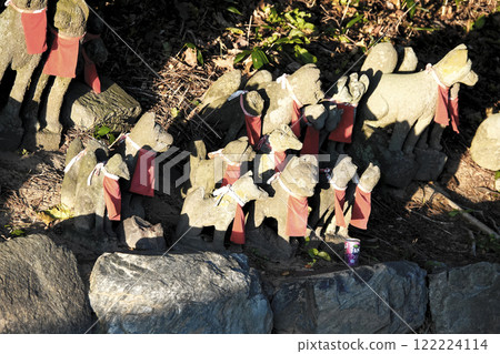 完成使命後，狐狸們的靈魂回歸了上帝，靜靜地站在夕陽下。 122224114