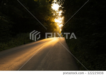 Golden sunlight filters through trees along a winding road at dusk creating a serene atmosphere Golden sunlight filters through trees along a winding road at dusk creating a serene atmosphere 122225038