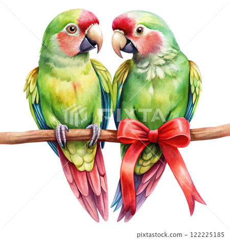 Cute parrot Flower Valentine Clipart Watercolor  122225185