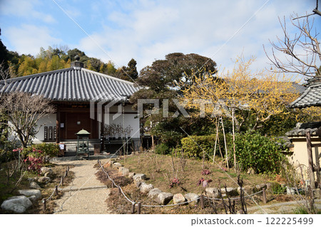 Taima-dera Temple, Seinan-in (Main Hall and Wintersweet) [Katsuragi City, Nara Prefecture] 122225499