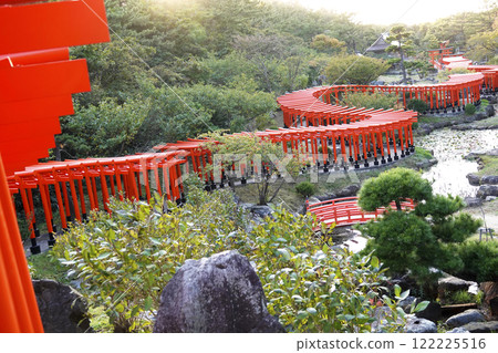 Bathed in the setting sun, the Senbon Torii gates twist like dragons Bathed in the setting sun, the Senbon Torii gates twist like dragons 122225516