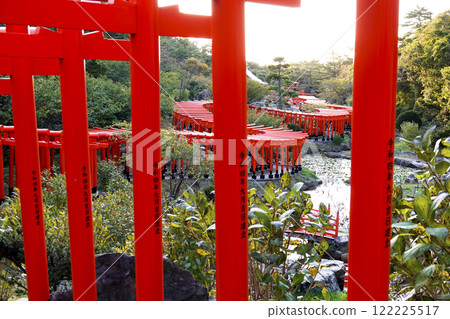View of the dragon-like torii gates from Senbon Torii-uchi approach 122225517