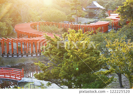 Bathed in the setting sun, the Senbon Torii gates twist like dragons Bathed in the setting sun, the Senbon Torii gates twist like dragons 122225520