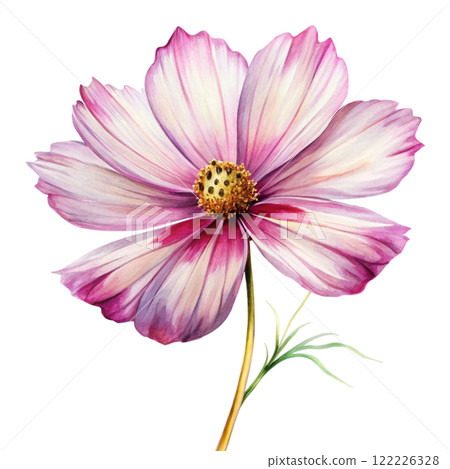 Flower Petals Clipart Watercolor Flower Petals Clipart Watercolor 122226328