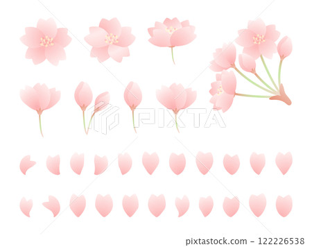 可愛的櫻花花朵插畫素材集 122226538