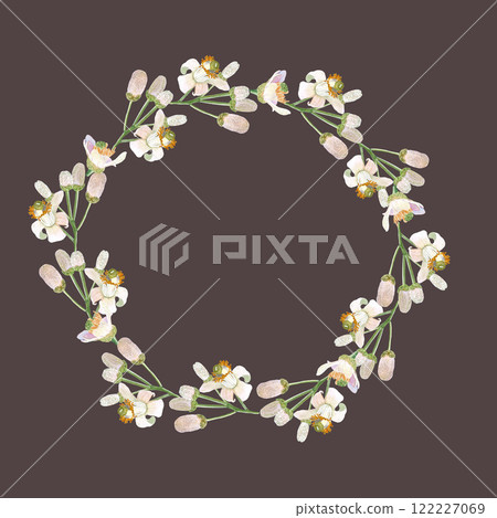 Delicate white citrus flowers and buds, watercolor wreath on cool brown. Hand-painted high quality art is perfect for textile, cards, posters, tea, essential oil packaging, home decor, prints 122227069
