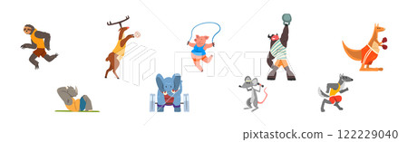 Funny Animal in Gym Do Sport Activity Vector Set Funny Animal in Gym Do Sport Activity Vector Set 122229040