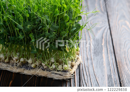 Organic microgreen pea photography . Healthy food . Top view Organic microgreen pea photography . Healthy food . Top view 122229838