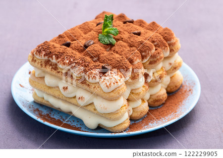Classic Tiramisu Dessert on Rustic Plate 122229905