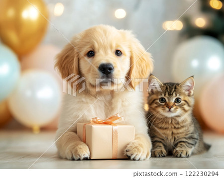 Cute golden retriever puppy holding a gift box, kitten lying next to him, birthday card or banner idea Cute golden retriever puppy holding a gift box, kitten lying next to him, birthday card or banner idea 122230294
