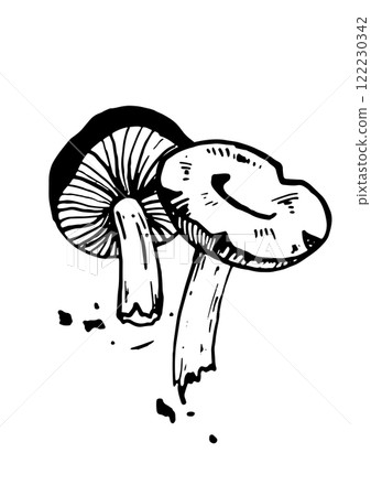 mushroom vector skatch on white background 122230342
