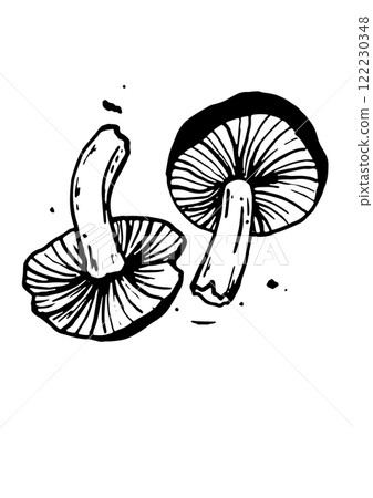 mushroom vector skatch on white background mushroom vector skatch on white background 122230348