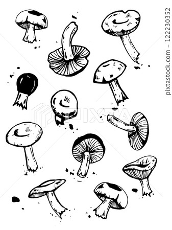 mushroom vector skatch on white background 122230352