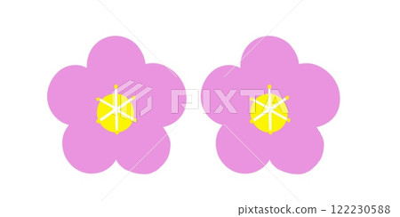 Spring flowers on a white background Spring flowers on a white background 122230588