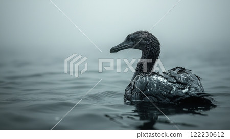 banner with a cormorant floating on the sea covered in oil, water black from spilled oil, tragedy from oil spill, copy space for description 122230612