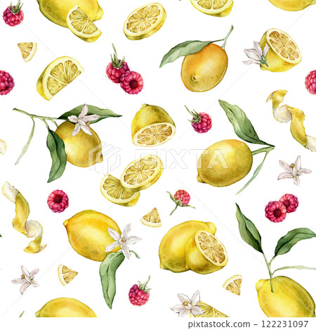 Seamless pattern with watercolor illustration of slice and whole lemon, peel or zest Lemon and raspberry. Repeat ornament Hand painted lemon with green leaf and white flowers on isolated background. Seamless pattern with watercolor illustration of slice and whole lemon, peel or zest Lemon and raspberry. Repeat ornament Hand painted lemon with green leaf and white flowers on isolated background. 122231097