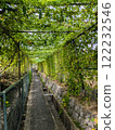 Bitter melon green tunnel 122232546